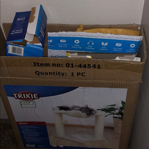 Sophie - Picture 2 of 3